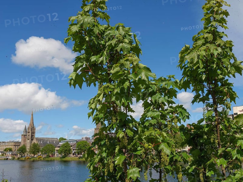 Church tower and urban buildings behind dense foliage and a river under a blue sky with white clouds, inverness, scotland, Great Britain