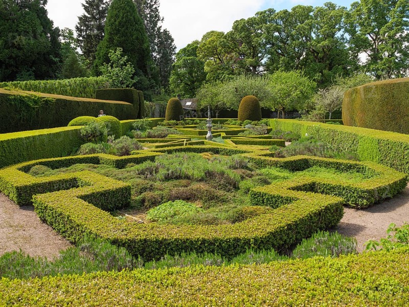 A well-kept garden with a hedge maze and various green plants, sunny day, inverness, scotland, great britain