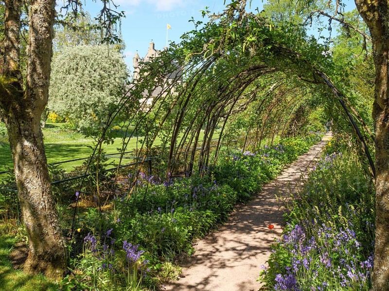 A curved garden path with flowering plants and arches covered in green foliage, inverness, scotland, uk
