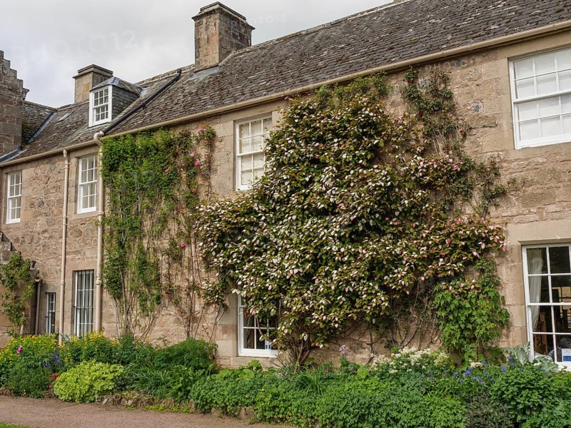 Stone house with green garden and plants growing along the walls, inverness, scotland, Great Britain