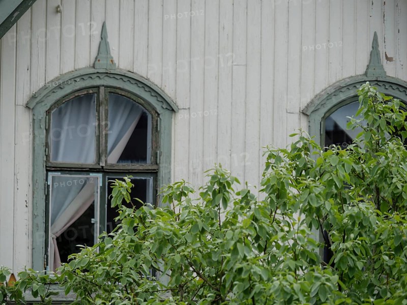 Two vintage windows of a white wooden house, surrounded by green leaves and curtains, haugesund, norway, scandinavia