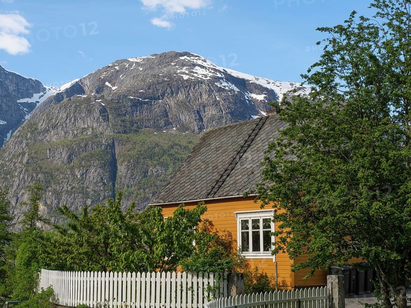 Cosy house with white fence and trees in a green village surrounded by high mountains, Eidfjörd, Norway, Scandinavia, Europe