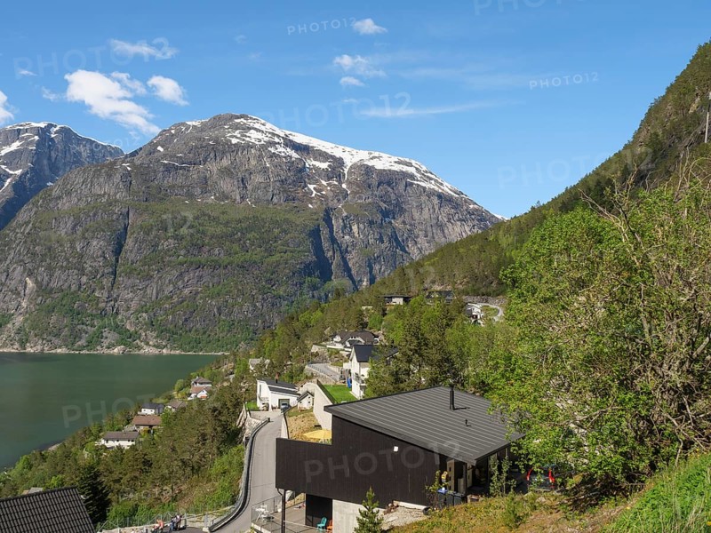 Landscape with road along the mountains, rural houses and clear skies, green vegetation, Eidfjörd, Norway, Scandinavia, Europe