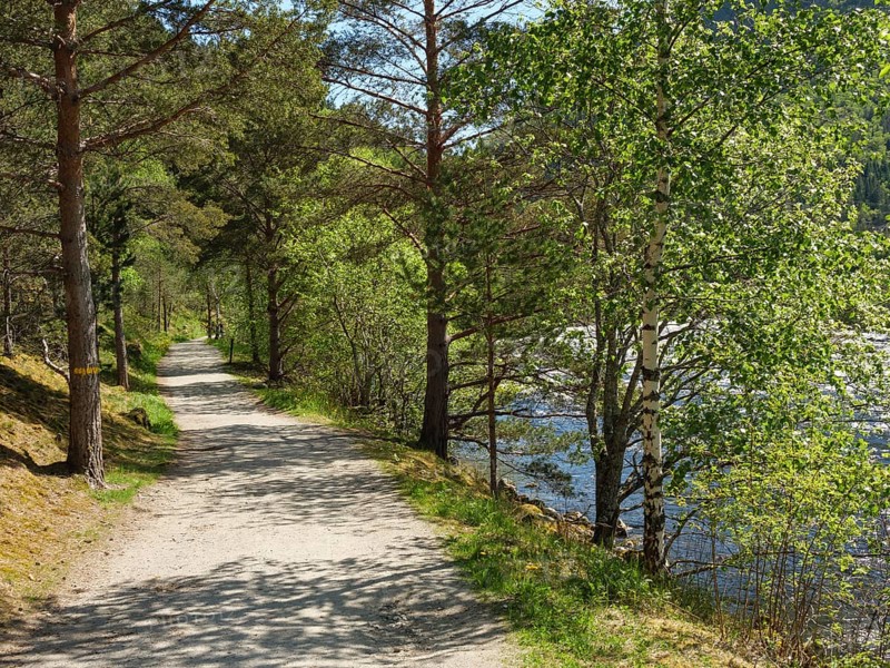 A hiking trail along a river, lined with green trees, Eidfjörd, Norway, Scandinavia, Europe