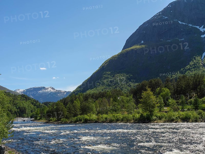 A river flowing through a green, forested landscape, surrounded by mountains under a clear sky, Eidfjörd, Norway, Scandinavia, Europe
