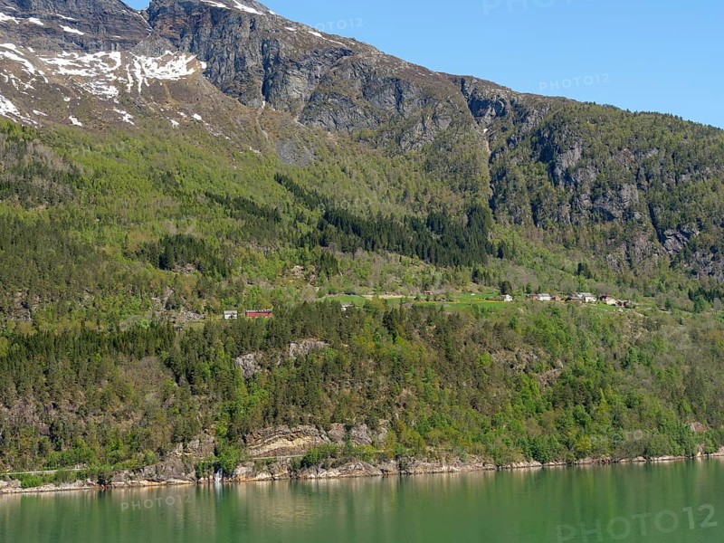 A residential area with scattered houses in the green mountains along a lake, Eidfjörd, Norway, Scandinavia, Europe