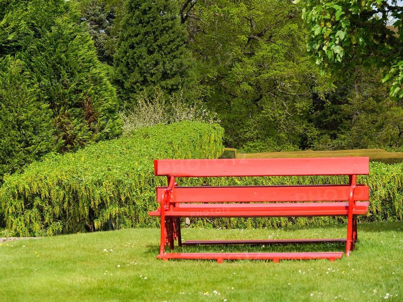 A red bench stands in a green park with trees and hedges in the background, inverness, scotland, Great Britain