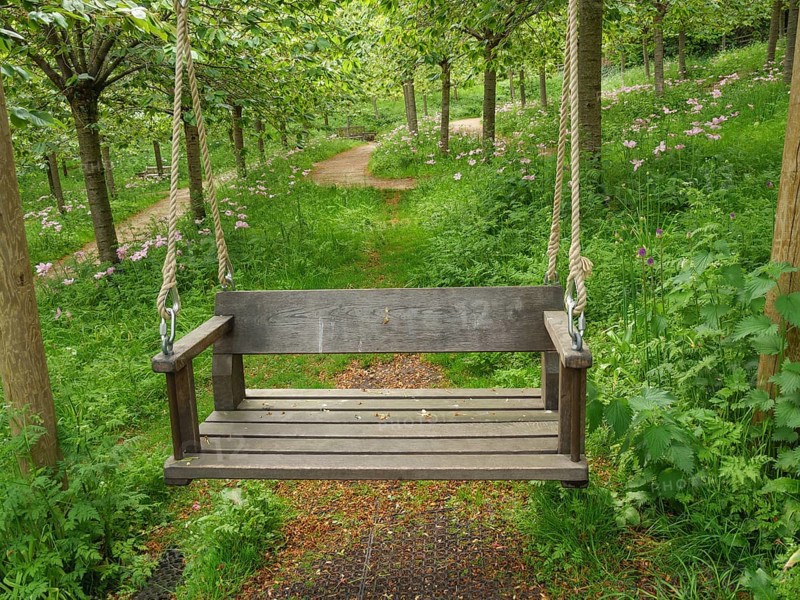 Wooden swing in a quiet forest with green trees and a path in the background, Thynemouth, England, United Kingdom, Europe