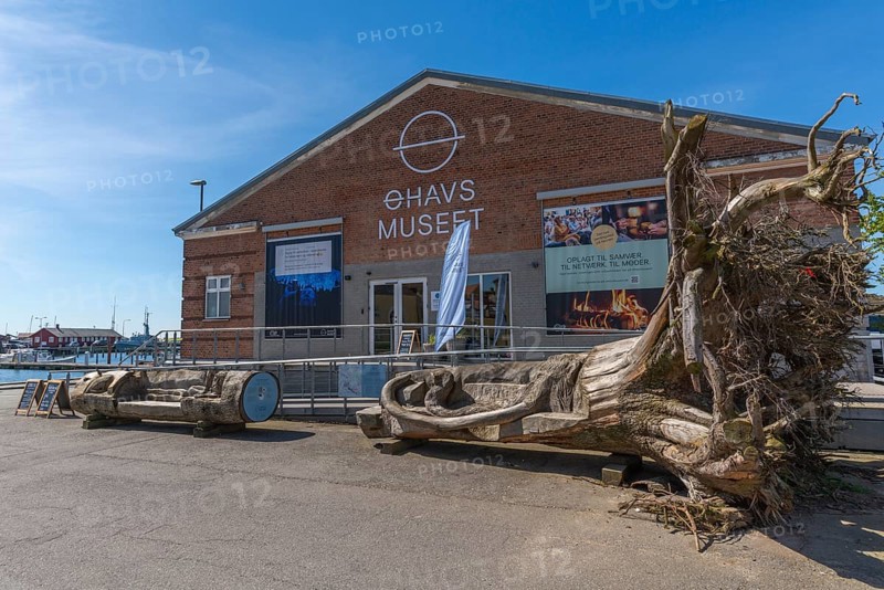 Old trading town of Faborg, Ohavsmuseet, Inselmeer Museum at the harbour, Danish South Sea, inscription, dead tree, tree roots, flag, Faaborg, Fyn, island of Funen, south coast, Denmark, Europe