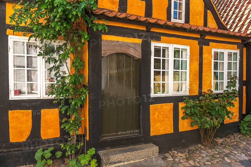 Faborg, Faaborg, picturesque old town with colourful houses, detail, half-timbered house from 1730, plants, vines, Fyn, island of Funen, south coast, Danish South Sea, Denmark, Europe