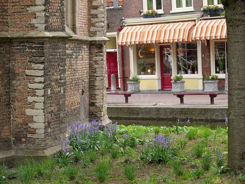 Garden with flowers in front of an old brick building and a street with buildings and shop windows, Delft, Netherlands