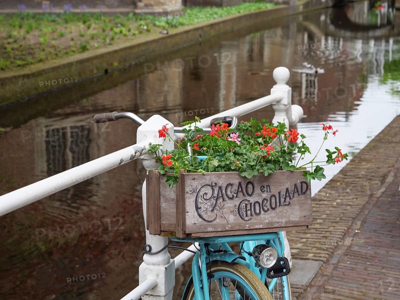 Bicycle with flowers in a decorative wooden box on the bank of a canal next to a bridge, Delft, Holland, Netherlands