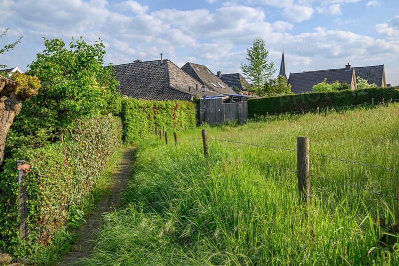 A narrow path leads through a green meadow along a row of houses, surrounded by green hedges, in a peaceful village, Bredevoort, Gelderland, the Netherlands