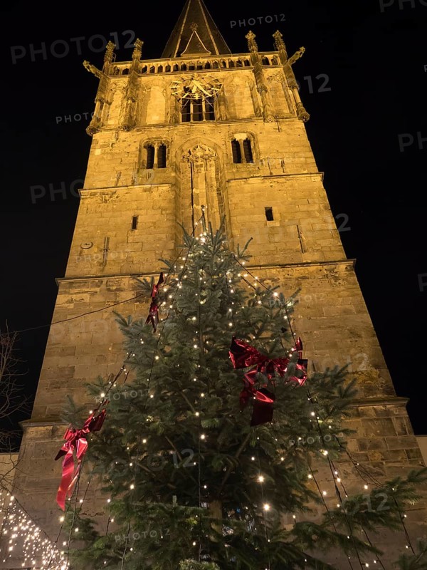Large Christmas tree illuminated in front of a historic church at night, Ahaus, Münsterland, North Rhine-Westphalia, Germany, Europe