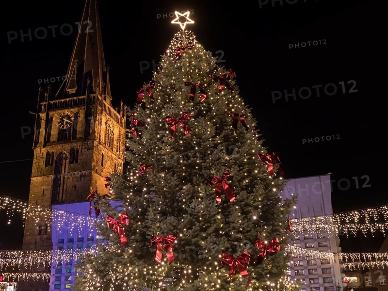 Large Christmas tree with lights and red bows, illuminated by a shining star, next to a church at night, Ahaus, Münsterland, North Rhine-Westphalia, Germany, Europe