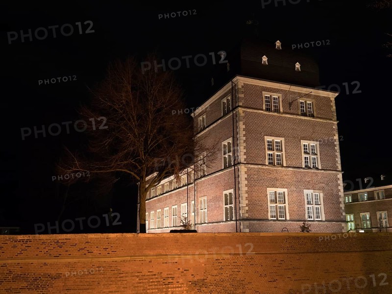 Historic brick building at night with lighting and a bare tree in the foreground, Ahaus, Münsterland, North Rhine-Westphalia, Germany, Europe