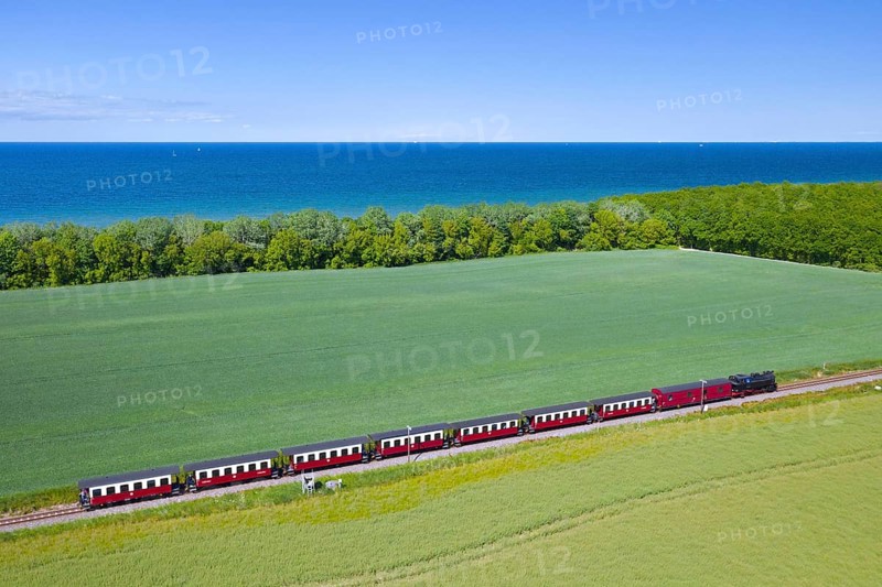 Molli steam locomotive on the narrow-gauge railway running along the Baltic Sea between Bad Doberan and Kühlungsborn, Mecklenburg-Vorpommern, Germany, Europe