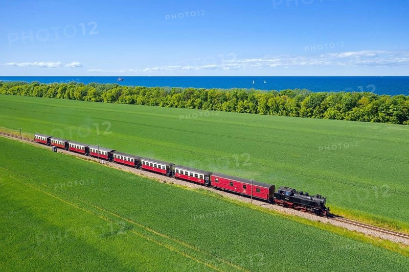 Molli steam locomotive on the narrow-gauge railway running along the Baltic Sea between Bad Doberan and Kühlungsborn, Mecklenburg-Vorpommern, Germany, Europe