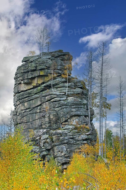 Feuersteinklippe, Feuersteine rock formation, granite butte in the Harz National Park near Schierke, Saxony-Anhalt, Sachsen-Anhalt, Germany, Europe