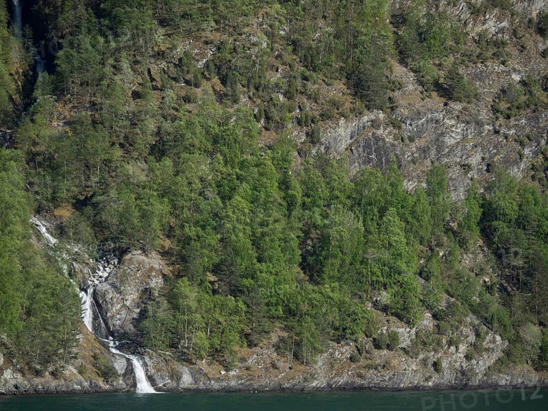 Steep forested mountains with a bubbling brook, Flam, Norway, Europe