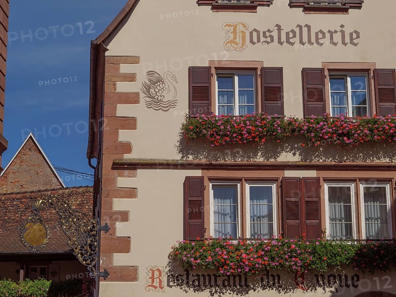 A traditional restaurant in a historic half-timbered house, decorated with flowers and a coat of arms, Wissembourg, Alsace, France, Europe