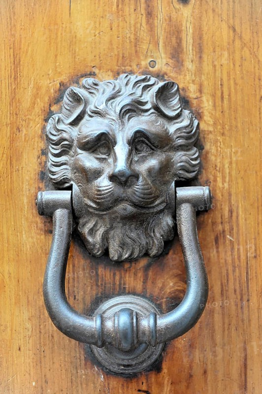 Siena, Tuscany, Italy, Europe, A detailed lion's head door knocker on an antique wooden door, Europe