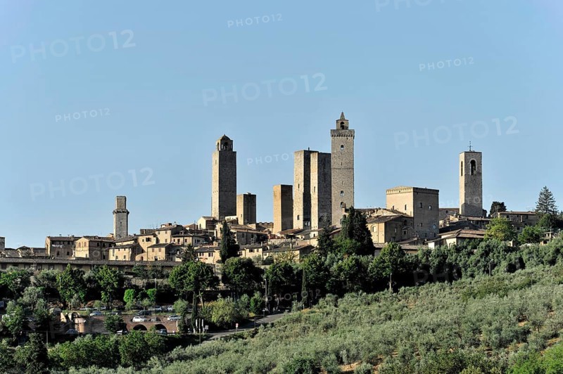 Towers of the sexes, Landscape, in autumn, Fields with olive trees, Vineyards, Tuscany, Italy, Europe, Historical town view with striking medieval towers and green trees in the foreground, Europe
