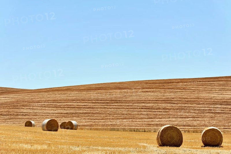 Harvested wheat fields, landscape south of Pienza, Tuscany, Italy, Europe, Hay bales scattered in a large golden grain field, Tuscany, Europe Italy, Europe