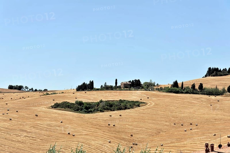 Harvested wheat fields, landscape south of Pienza, Tuscany, Italy, Europe, View of a historic town on a hill surrounded by golden fields and green vegetation, Tuscany, Europe Italy, Landscape with golden fields, hay bales and farm in summer atmosphere, Europe