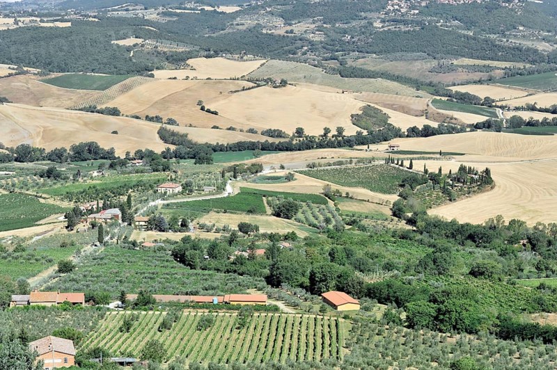 Montepulciano, Tuscany, Italy, Europe, Panorama of a rural landscape with many fields, trees and some houses, Tuscany, Europe Italy, Europe