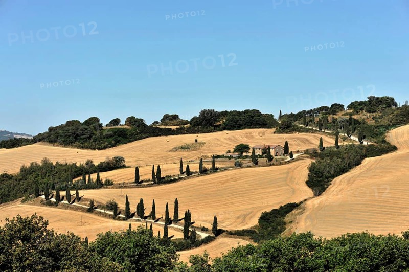 Cypress avenue La Foce, Tuscany, Italy, Europe, Landscape with wide fields and rolling hills, lined with trees, Tuscany, Europe