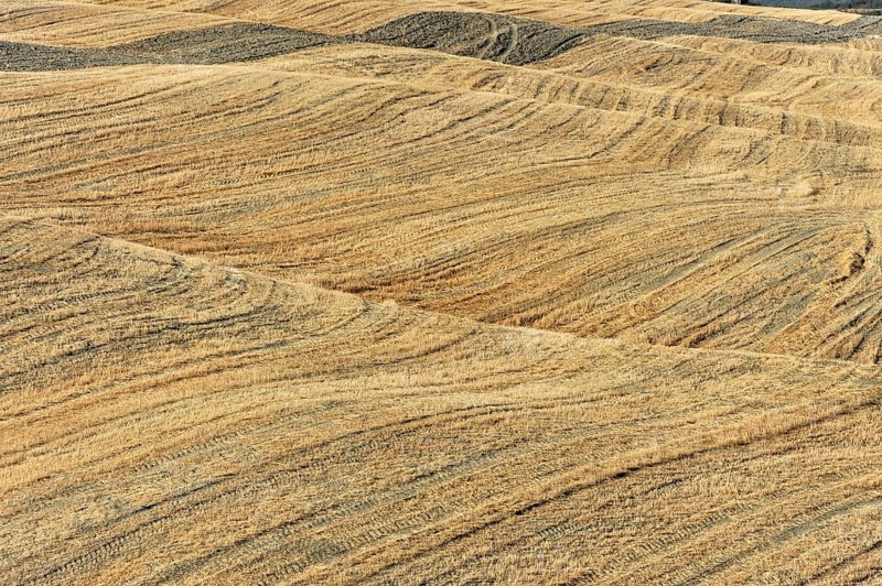 Harvested fields south of Siena, Crete Senesi, Tuscany, Italy, Europe, Golden fields with undulating patterns forming a gentle hilly landscape, Tuscany, Europe