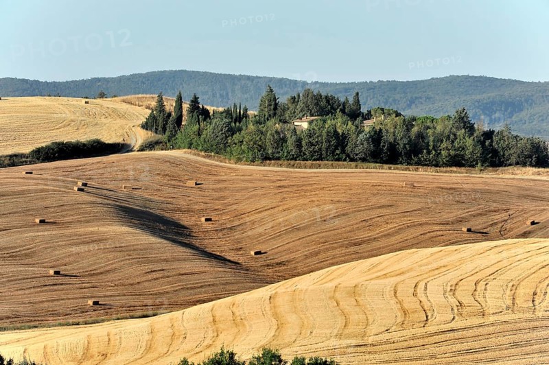 Straw bales, harvested wheat fields, south of Montepulciano, Tuscany, Italy, Europe, Wavy hilly landscape with scattered hay bales and green trees under a blue sky, Tuscany, Europe