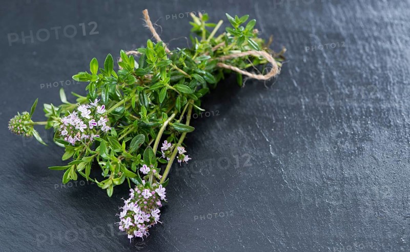 Small bunch of fresh Winter Savory (close-up shot)
