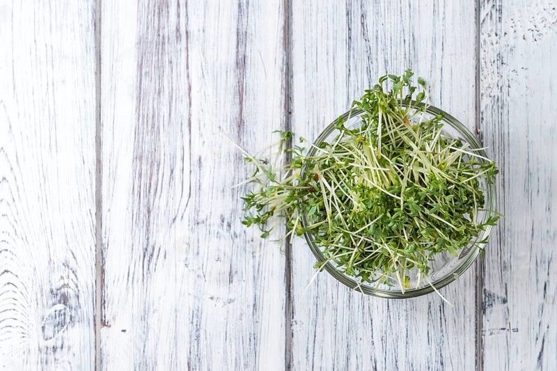 Portion of Cress (close-up shot) on rustic wooden background