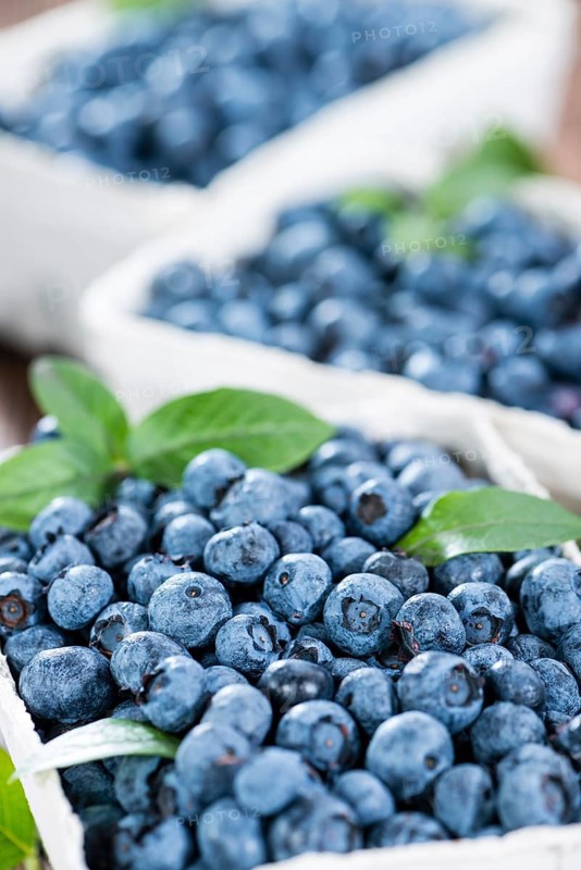 Portion of fresh harvested Blueberries (detailed close-up shot)