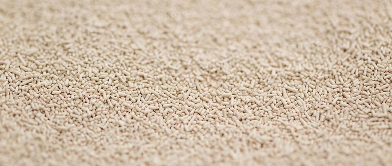 Dried Yeast for use as background image or as texture