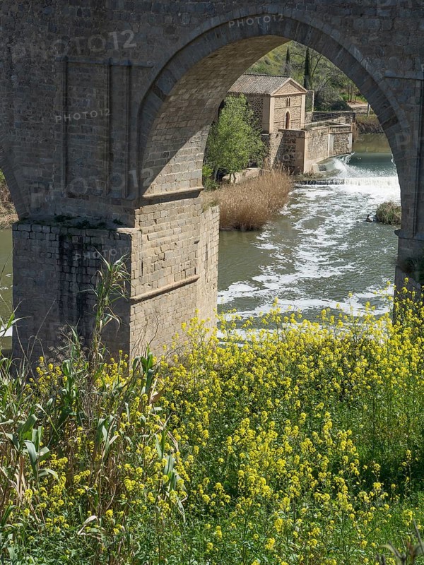 Stone bridge over river with waterfall and yellow flowers in the foreground, Toledo, Spain, Europe