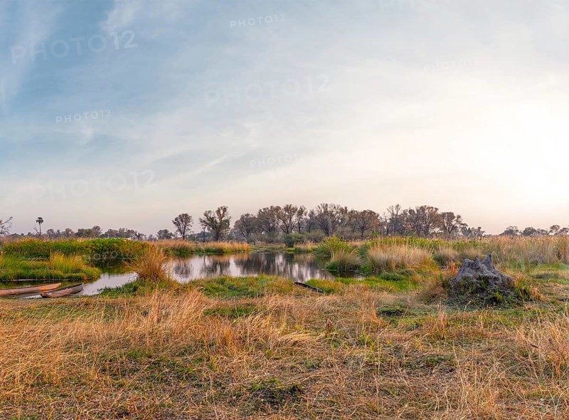Adventure boat trip in a traditional Makoro at the Okavango Delta, Botswana, Africa