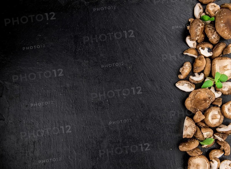 Portion of Raw Shiitake mushrooms on a rustic slate slab, selective focus, close-up shot