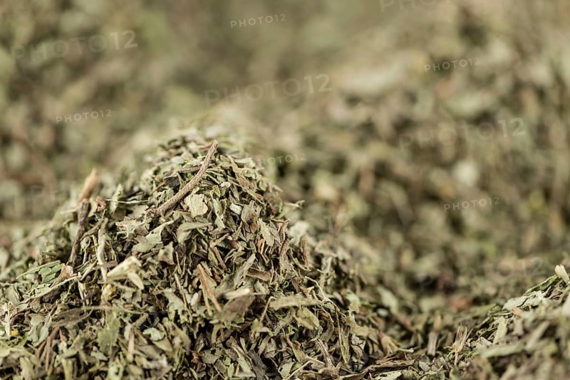 Stevia leaves (dried) for use as background image or as texture (close-up shot, selective focus)