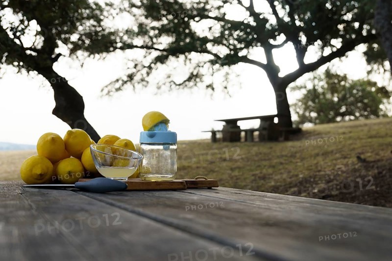 Lemon squeezed with a hand juicer on a wooden table in the field with a pile of lemons and trees in the background