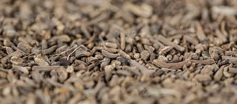 Dried Valerian roots as background image or as texture (close-up shot)