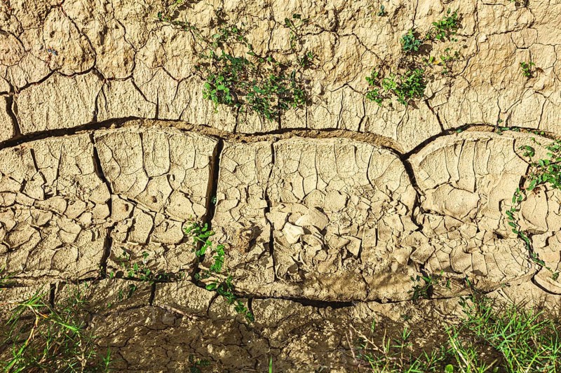 Closeup of dried crack mud representing global warming and climate change