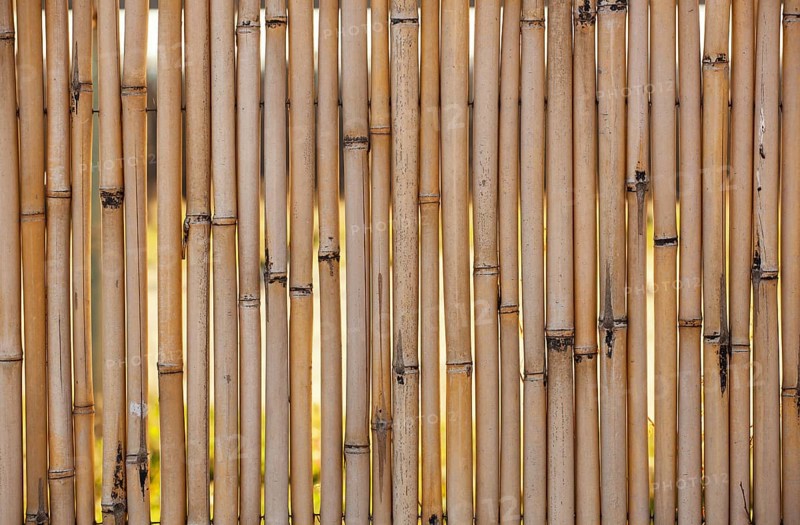 Close up of bamboo fence background at beach