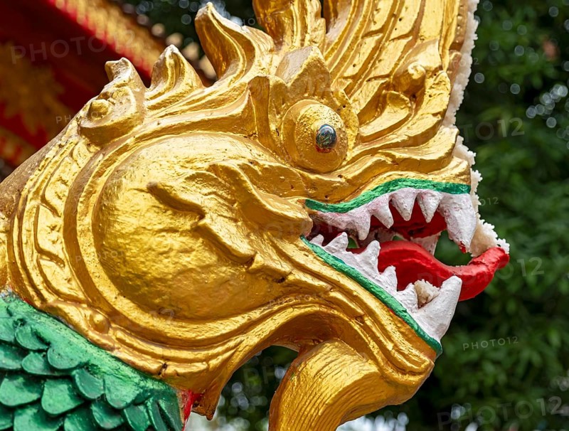 Naga head, Wat Si Muang, Vientiane, Laos, Asia