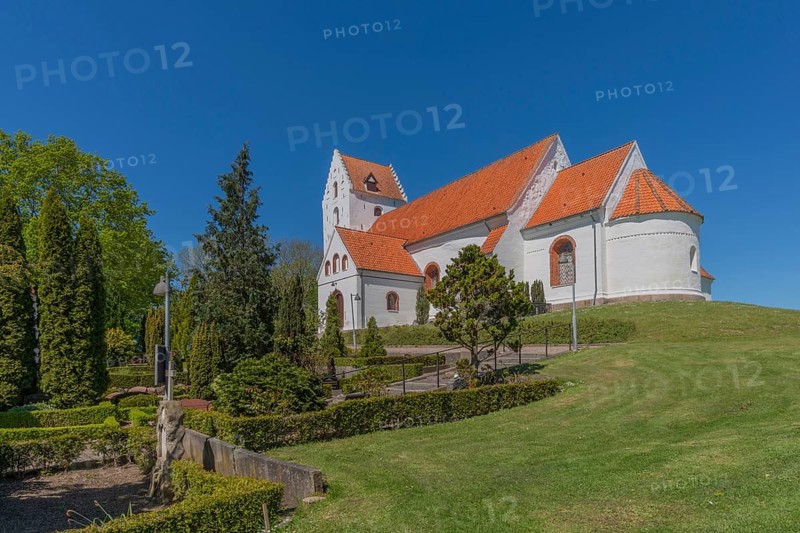 Lindelse Kirke, typical Danish church from 1830, whitewashed, red tiled roof, hill, apse, graves, hedge, trees, Rudkobing, Langeland Island, South Funen, Danish South Sea, Baltic Sea, Denmark, Europe