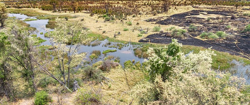 Helicopter Safari at the Okavango Delta, Botswana during a nice and sunny day