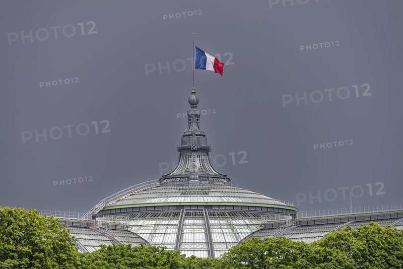 The French national flag, tricolour, on the Grand Palais, Paris, ÃŽle-de-France, France, Europe