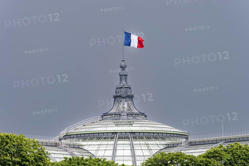 The French national flag, tricolour, on the Grand Palais, Paris, ÃŽle-de-France, France, Europe